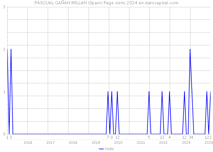 PASCUAL GAÑAN MILLAN (Spain) Page visits 2024 
