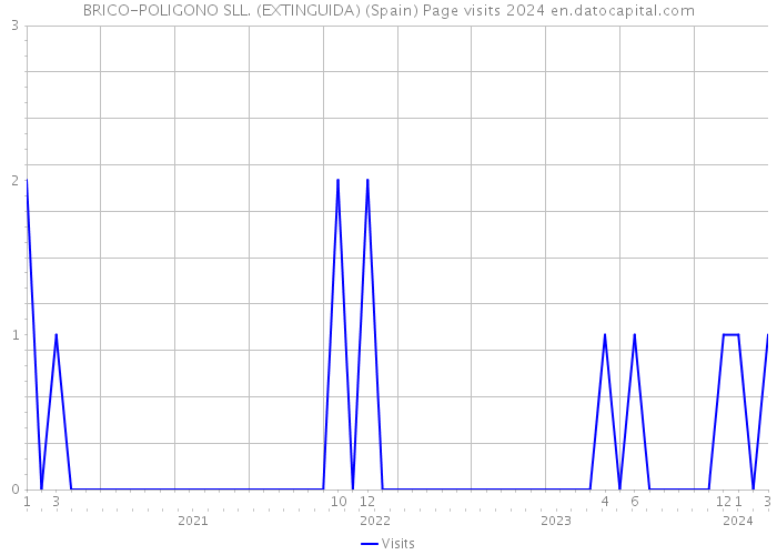 BRICO-POLIGONO SLL. (EXTINGUIDA) (Spain) Page visits 2024 