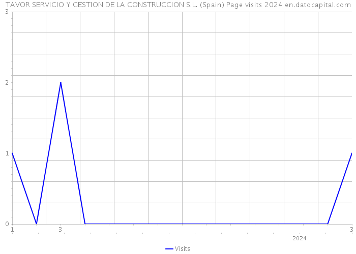TAVOR SERVICIO Y GESTION DE LA CONSTRUCCION S.L. (Spain) Page visits 2024 