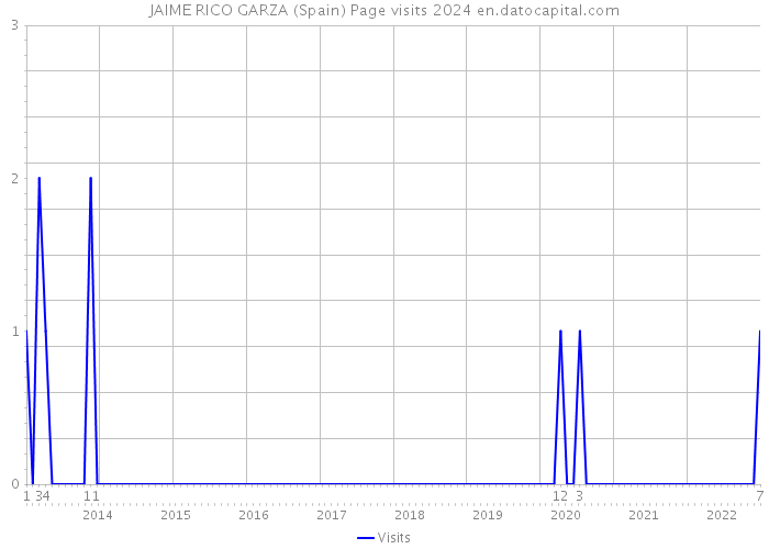 JAIME RICO GARZA (Spain) Page visits 2024 