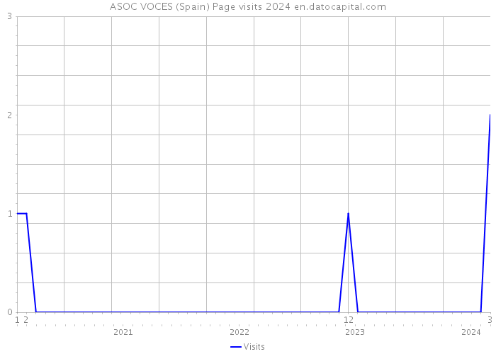 ASOC VOCES (Spain) Page visits 2024 
