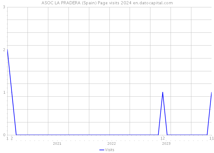 ASOC LA PRADERA (Spain) Page visits 2024 