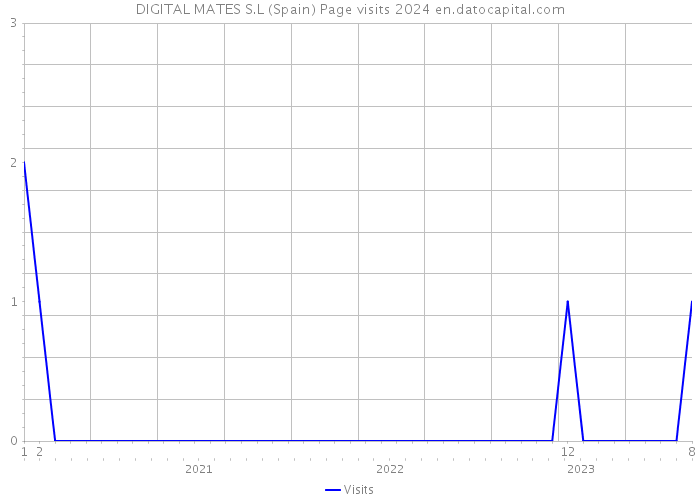 DIGITAL MATES S.L (Spain) Page visits 2024 
