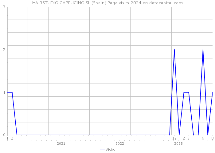 HAIRSTUDIO CAPPUCINO SL (Spain) Page visits 2024 
