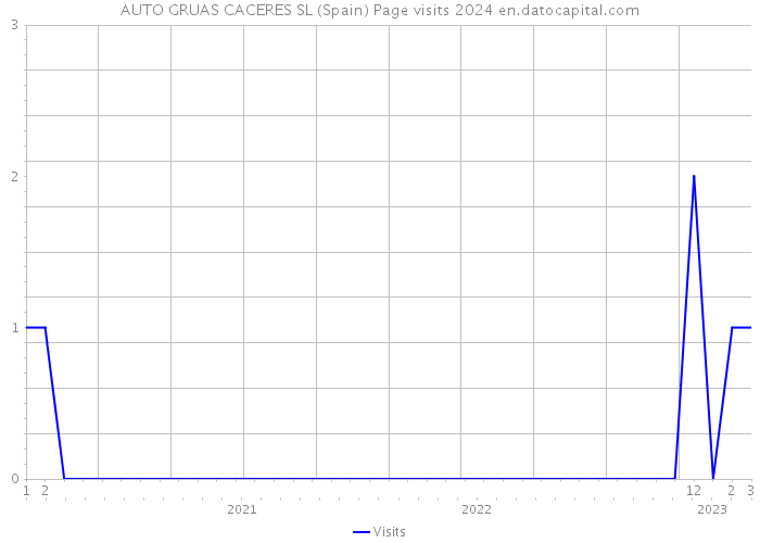 AUTO GRUAS CACERES SL (Spain) Page visits 2024 