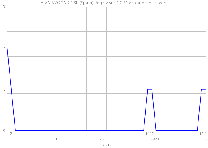 VIVA AVOCADO SL (Spain) Page visits 2024 