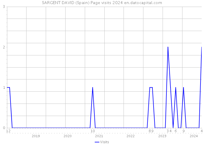 SARGENT DAVID (Spain) Page visits 2024 