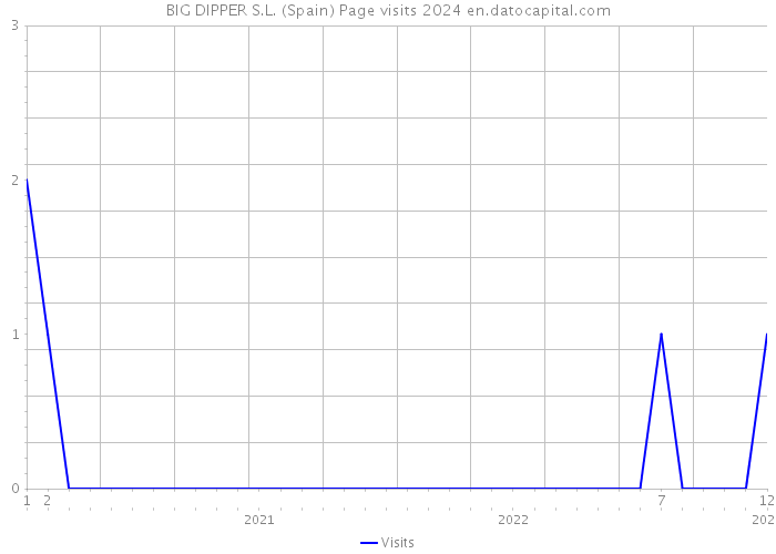 BIG DIPPER S.L. (Spain) Page visits 2024 