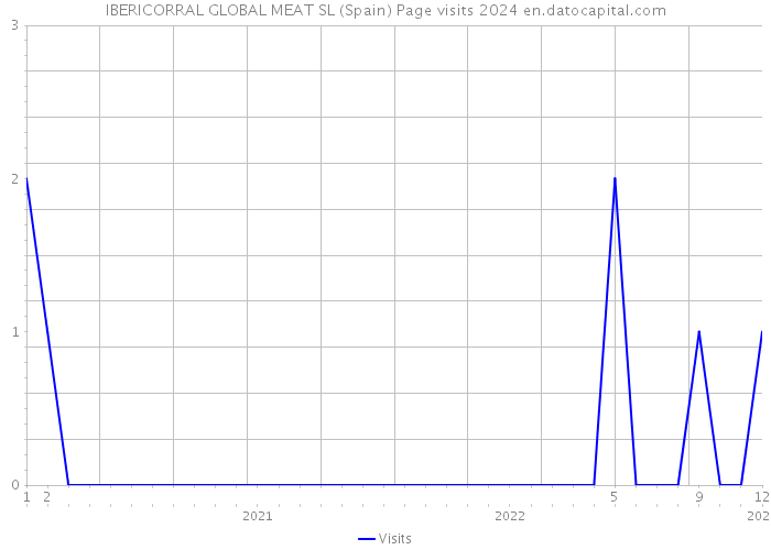 IBERICORRAL GLOBAL MEAT SL (Spain) Page visits 2024 