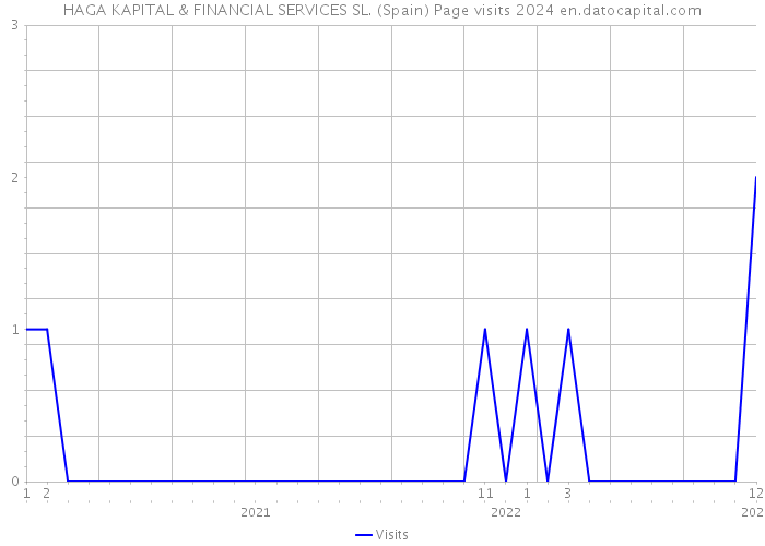 HAGA KAPITAL & FINANCIAL SERVICES SL. (Spain) Page visits 2024 