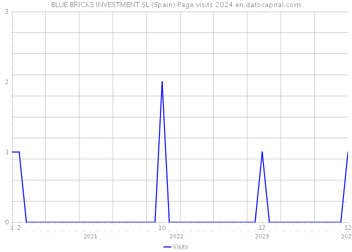 BLUE BRICKS INVESTMENT SL (Spain) Page visits 2024 