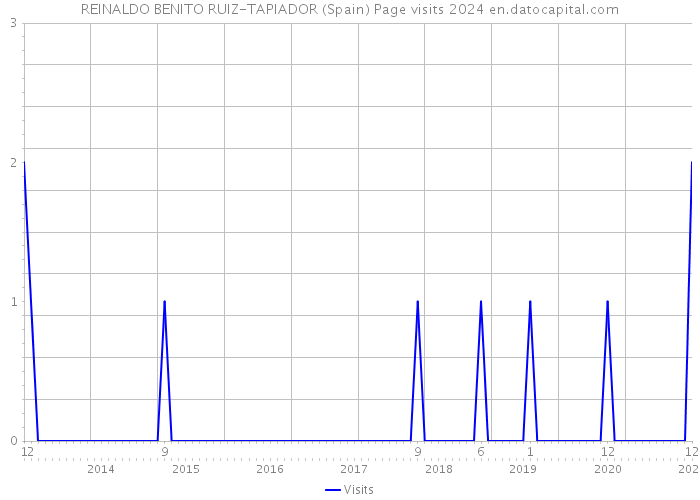 REINALDO BENITO RUIZ-TAPIADOR (Spain) Page visits 2024 