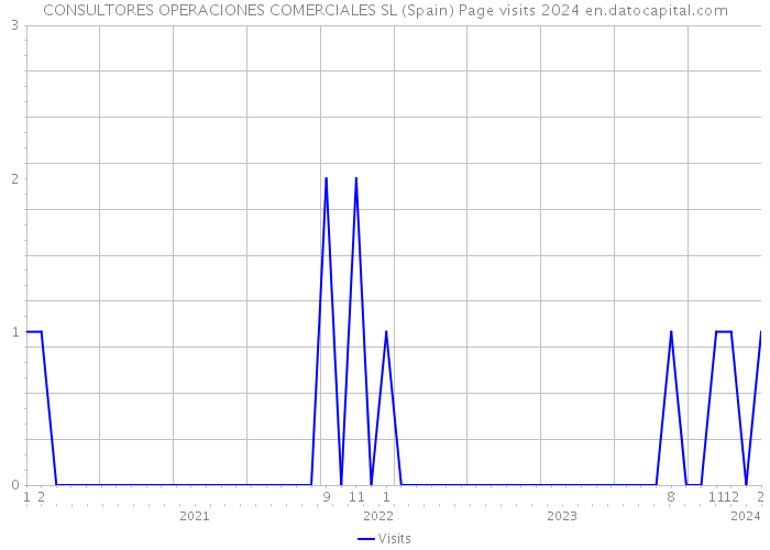 CONSULTORES OPERACIONES COMERCIALES SL (Spain) Page visits 2024 