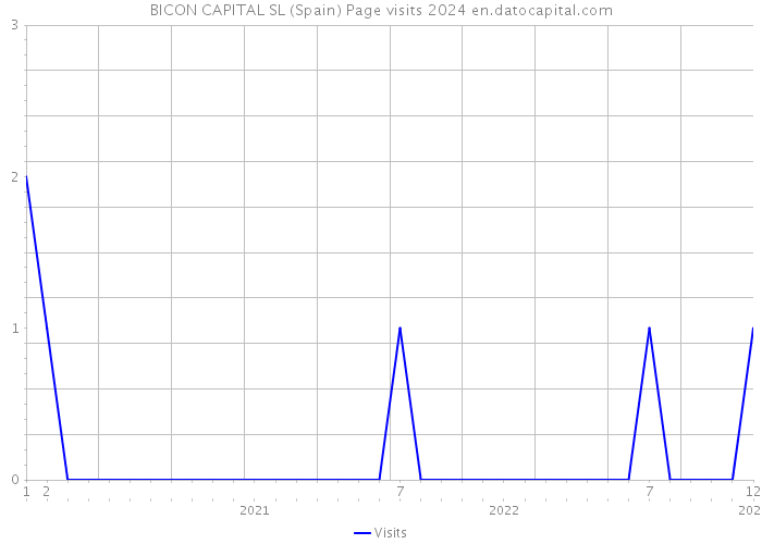 BICON CAPITAL SL (Spain) Page visits 2024 