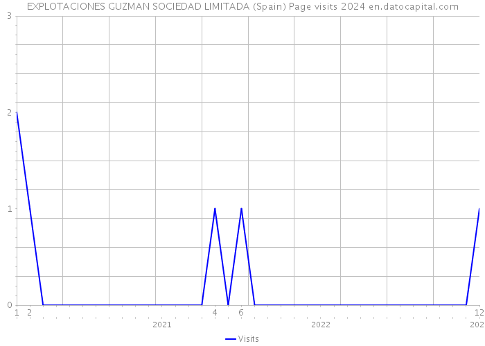 EXPLOTACIONES GUZMAN SOCIEDAD LIMITADA (Spain) Page visits 2024 