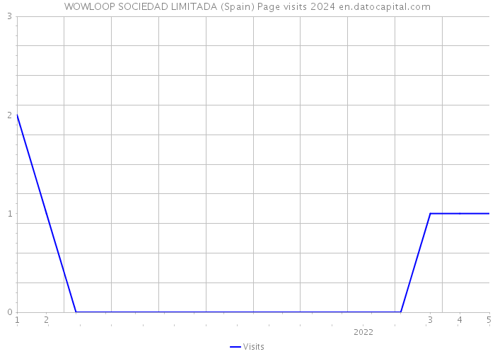 WOWLOOP SOCIEDAD LIMITADA (Spain) Page visits 2024 