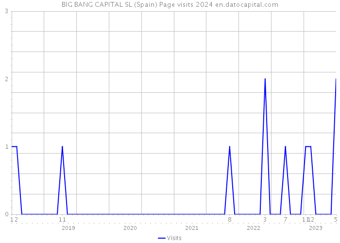 BIG BANG CAPITAL SL (Spain) Page visits 2024 