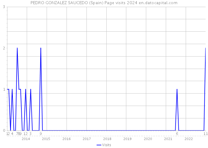 PEDRO GONZALEZ SAUCEDO (Spain) Page visits 2024 