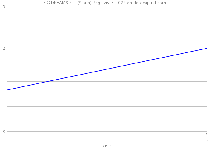 BIG DREAMS S.L. (Spain) Page visits 2024 