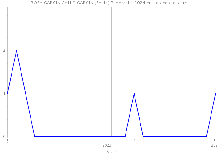 ROSA GARCIA GALLO GARCIA (Spain) Page visits 2024 