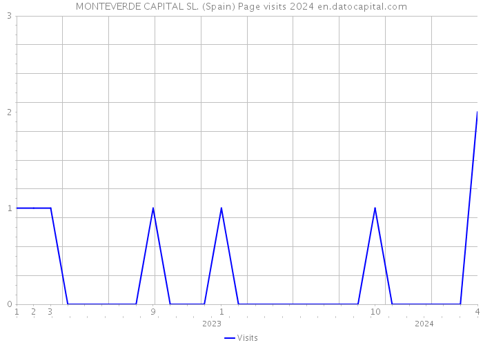 MONTEVERDE CAPITAL SL. (Spain) Page visits 2024 