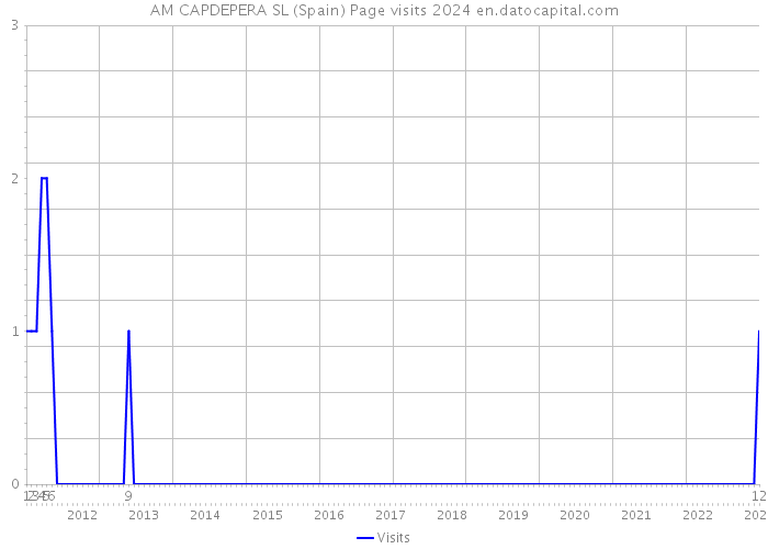 AM CAPDEPERA SL (Spain) Page visits 2024 