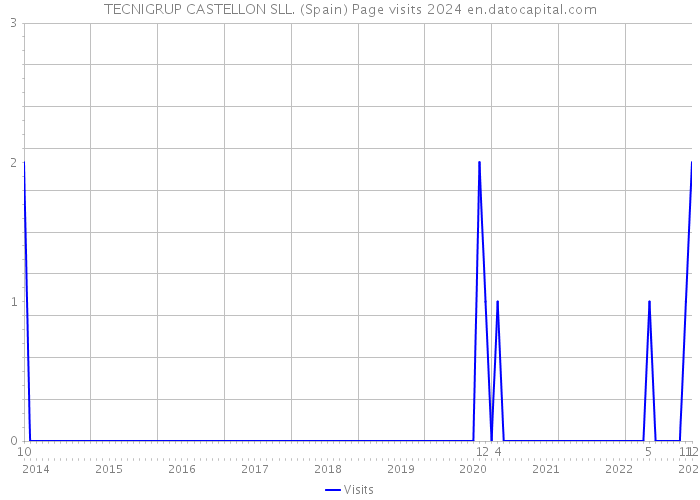 TECNIGRUP CASTELLON SLL. (Spain) Page visits 2024 