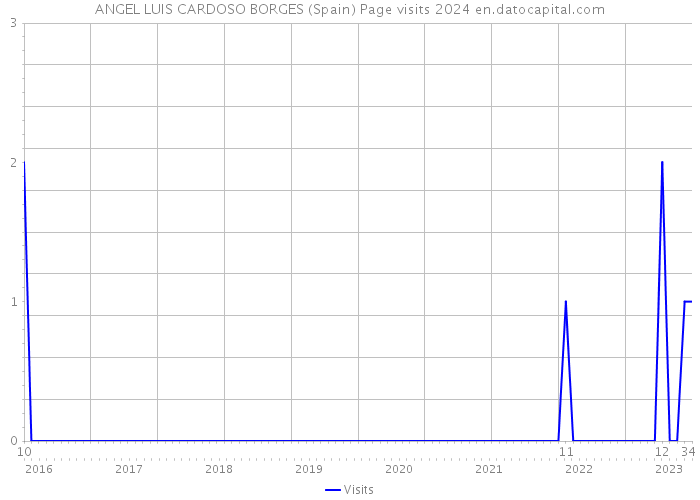 ANGEL LUIS CARDOSO BORGES (Spain) Page visits 2024 
