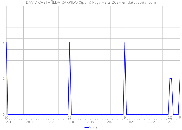 DAVID CASTAÑEDA GARRIDO (Spain) Page visits 2024 