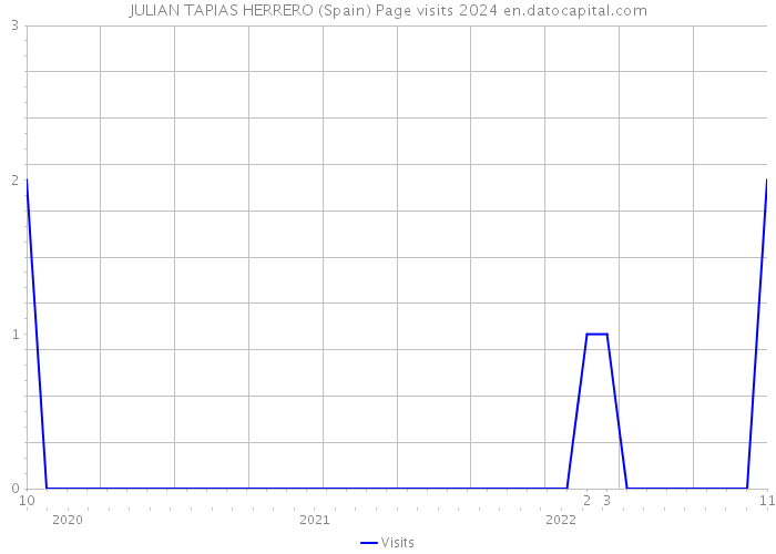 JULIAN TAPIAS HERRERO (Spain) Page visits 2024 