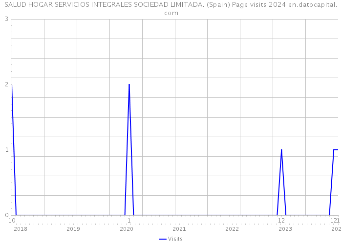 SALUD HOGAR SERVICIOS INTEGRALES SOCIEDAD LIMITADA. (Spain) Page visits 2024 