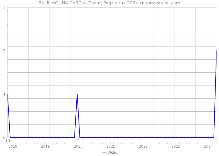 RAUL MOLINA GARCIA (Spain) Page visits 2024 