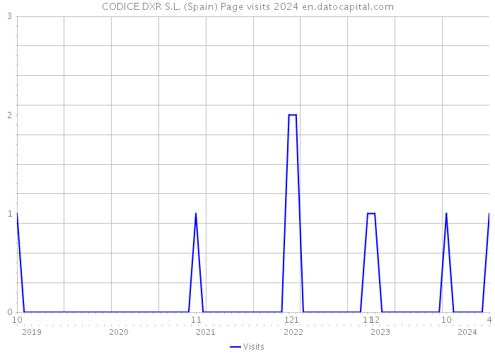 CODICE DXR S.L. (Spain) Page visits 2024 