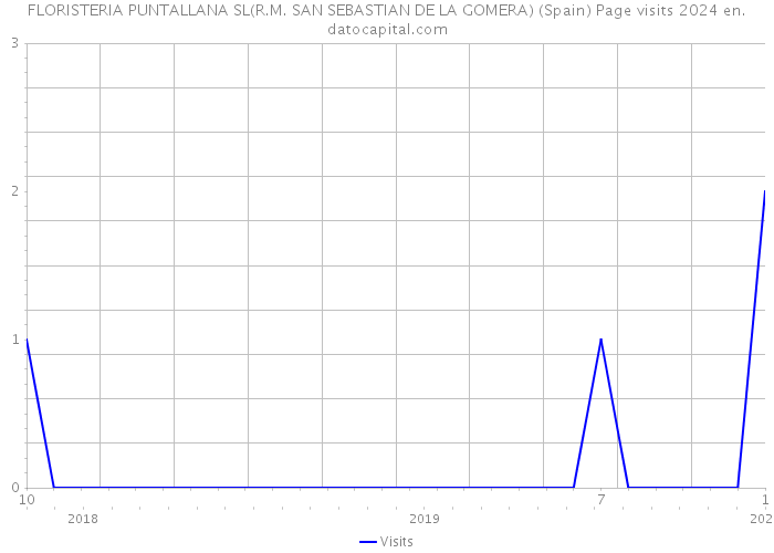FLORISTERIA PUNTALLANA SL(R.M. SAN SEBASTIAN DE LA GOMERA) (Spain) Page visits 2024 