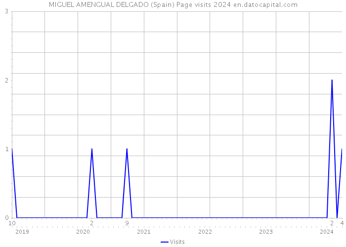 MIGUEL AMENGUAL DELGADO (Spain) Page visits 2024 