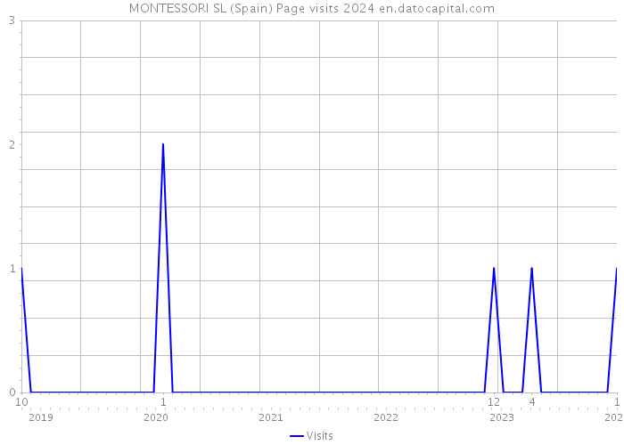 MONTESSORI SL (Spain) Page visits 2024 