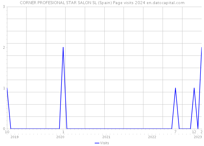 CORNER PROFESIONAL STAR SALON SL (Spain) Page visits 2024 