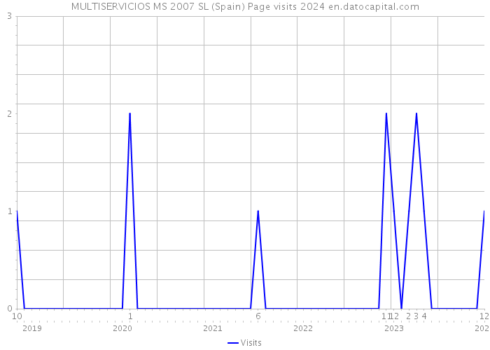 MULTISERVICIOS MS 2007 SL (Spain) Page visits 2024 
