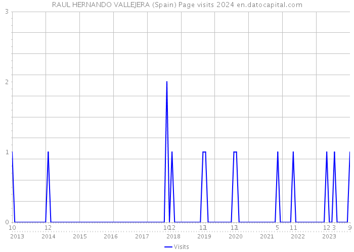 RAUL HERNANDO VALLEJERA (Spain) Page visits 2024 