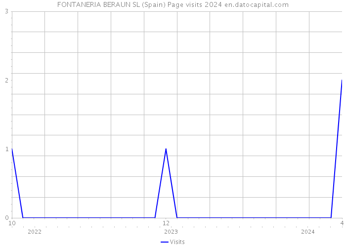 FONTANERIA BERAUN SL (Spain) Page visits 2024 