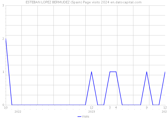 ESTEBAN LOPEZ BERMUDEZ (Spain) Page visits 2024 