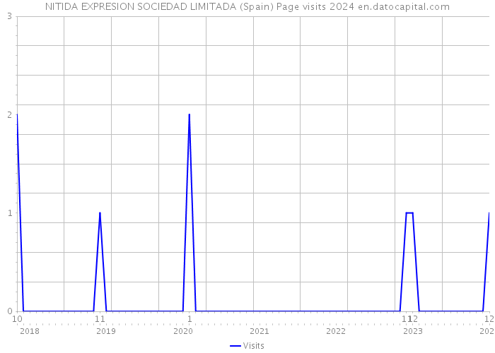 NITIDA EXPRESION SOCIEDAD LIMITADA (Spain) Page visits 2024 