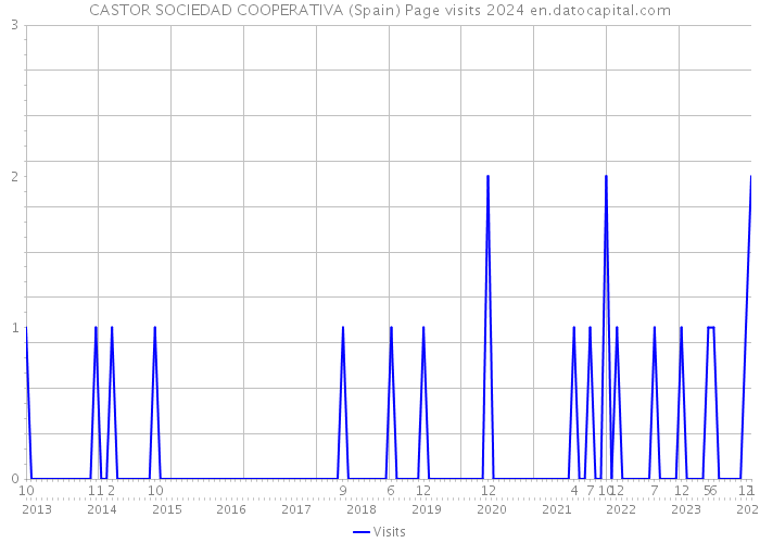 CASTOR SOCIEDAD COOPERATIVA (Spain) Page visits 2024 