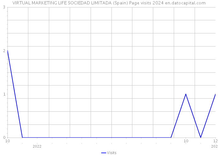VIRTUAL MARKETING LIFE SOCIEDAD LIMITADA (Spain) Page visits 2024 