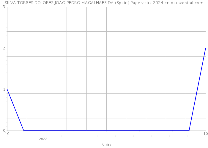 SILVA TORRES DOLORES JOAO PEDRO MAGALHAES DA (Spain) Page visits 2024 