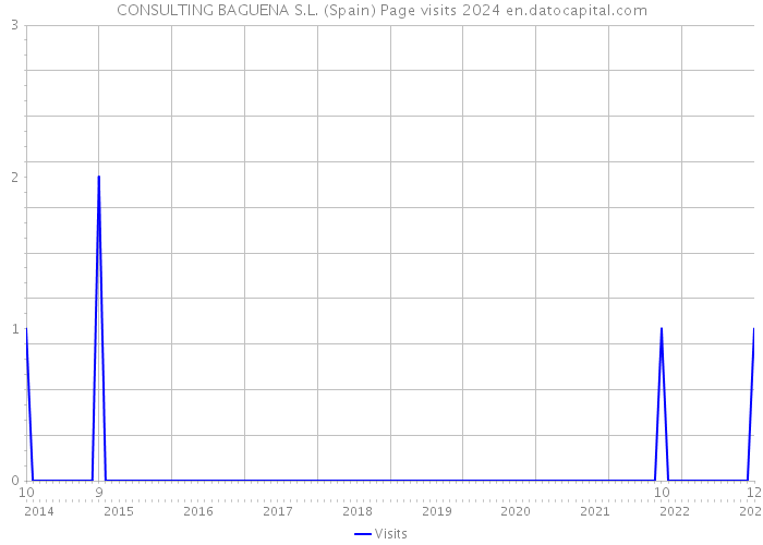 CONSULTING BAGUENA S.L. (Spain) Page visits 2024 