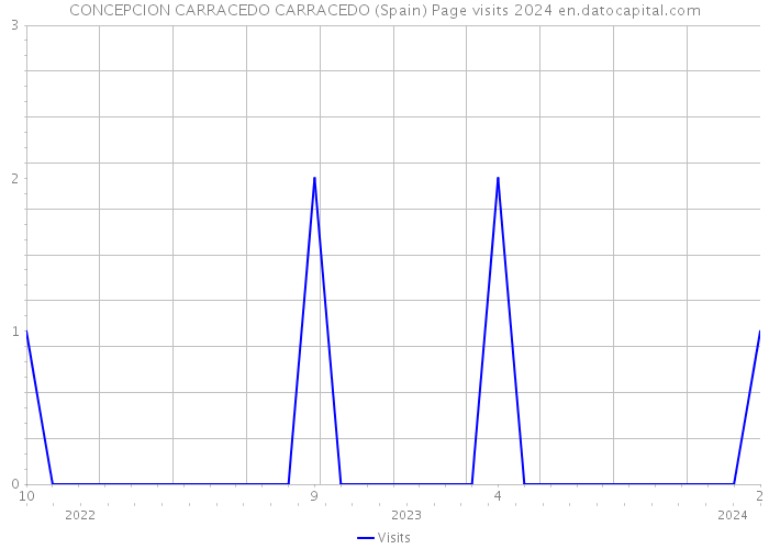 CONCEPCION CARRACEDO CARRACEDO (Spain) Page visits 2024 