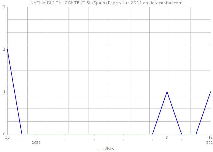 NATUM DIGITAL CONTENT SL (Spain) Page visits 2024 