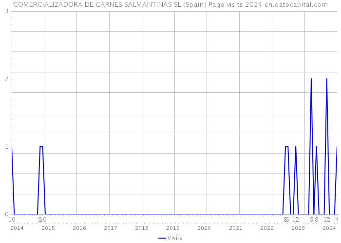 COMERCIALIZADORA DE CARNES SALMANTINAS SL (Spain) Page visits 2024 