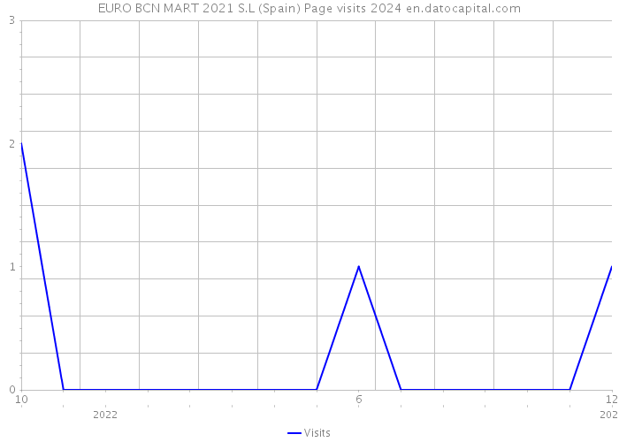 EURO BCN MART 2021 S.L (Spain) Page visits 2024 